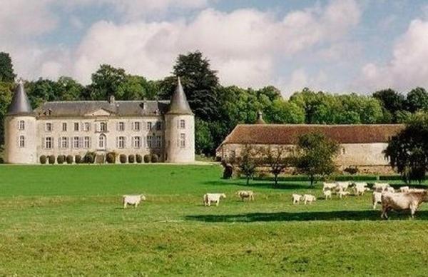 Chateau De Beaujeu Sens-Beaujeu 외부 사진