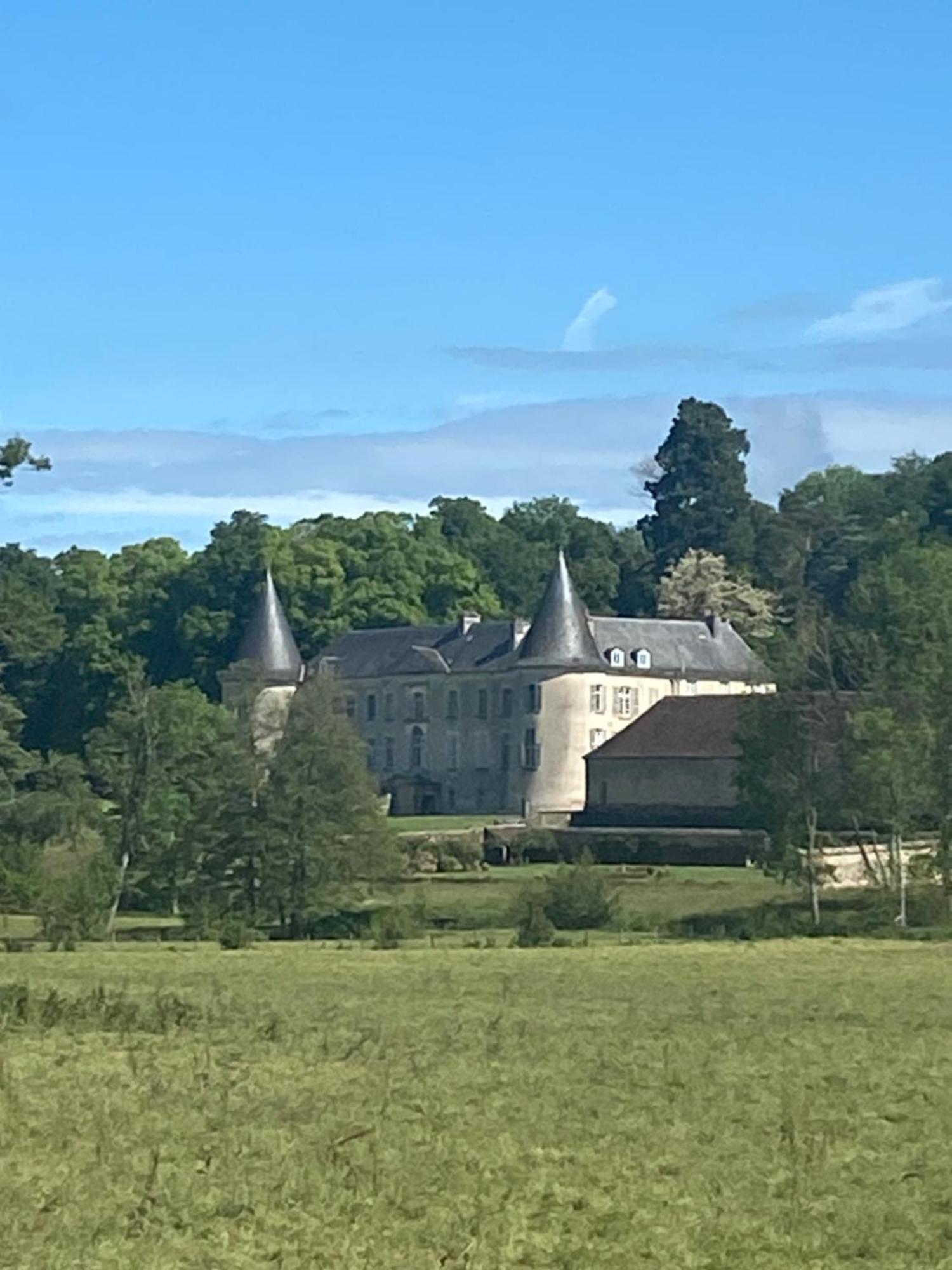 Chateau De Beaujeu Sens-Beaujeu 외부 사진